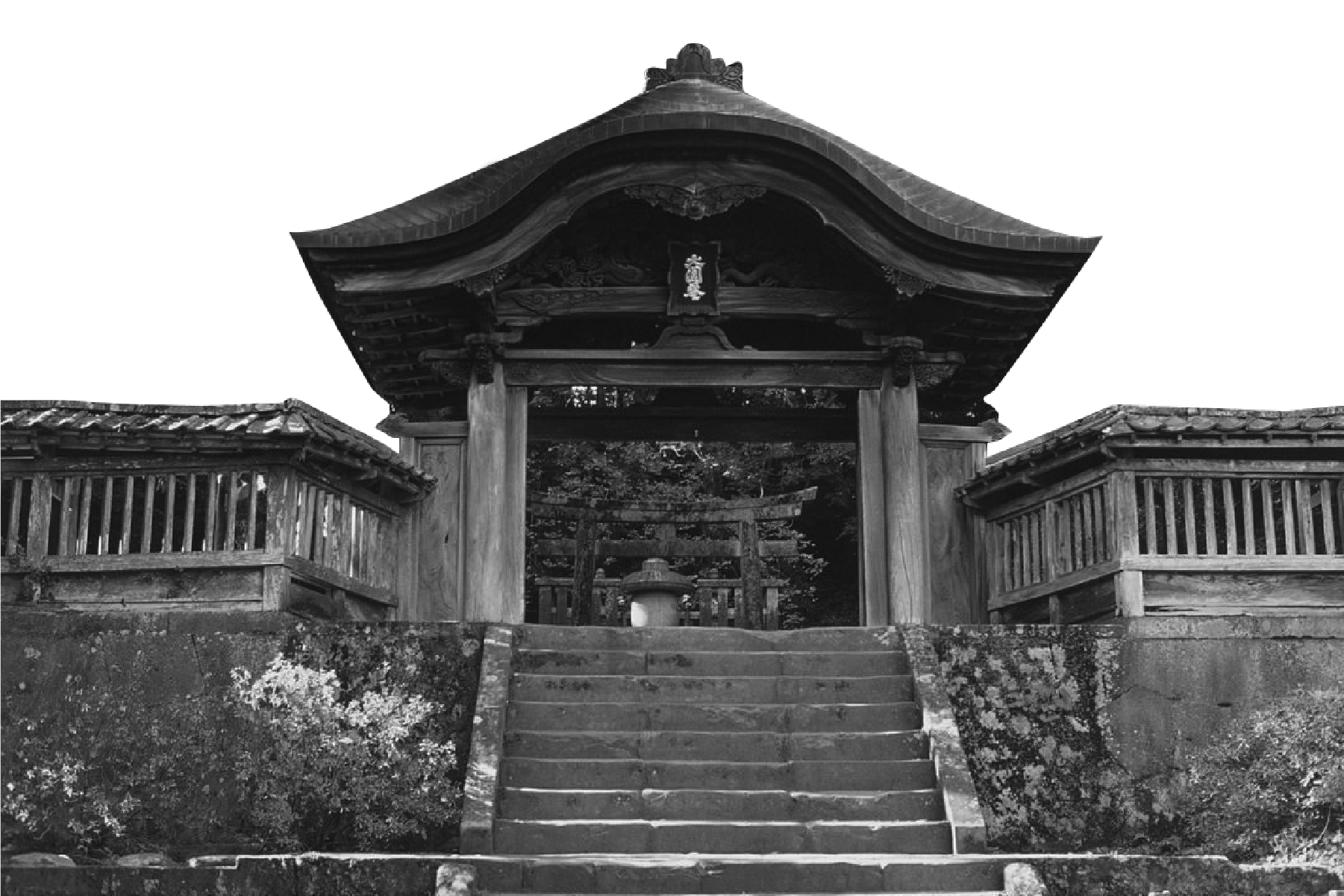 月照寺の写真