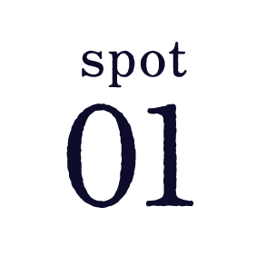 spot01