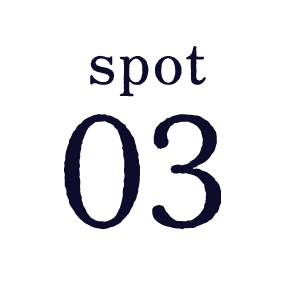 spot03